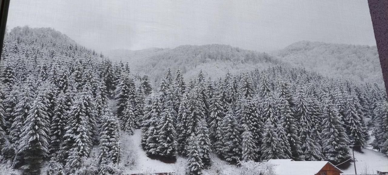Садиба Квітка Карпат Ruska Mokra ภายนอก รูปภาพ