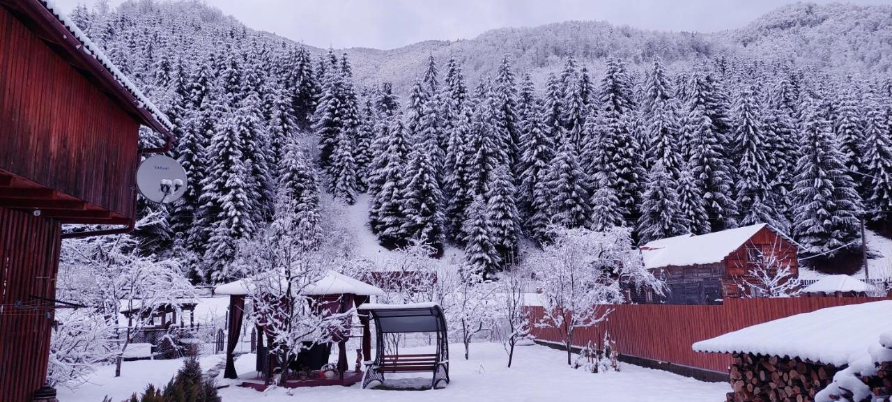 Садиба Квітка Карпат Ruska Mokra ภายนอก รูปภาพ